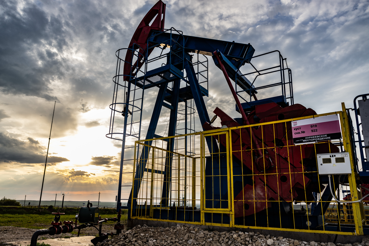 IMG_3086 — крупный размер